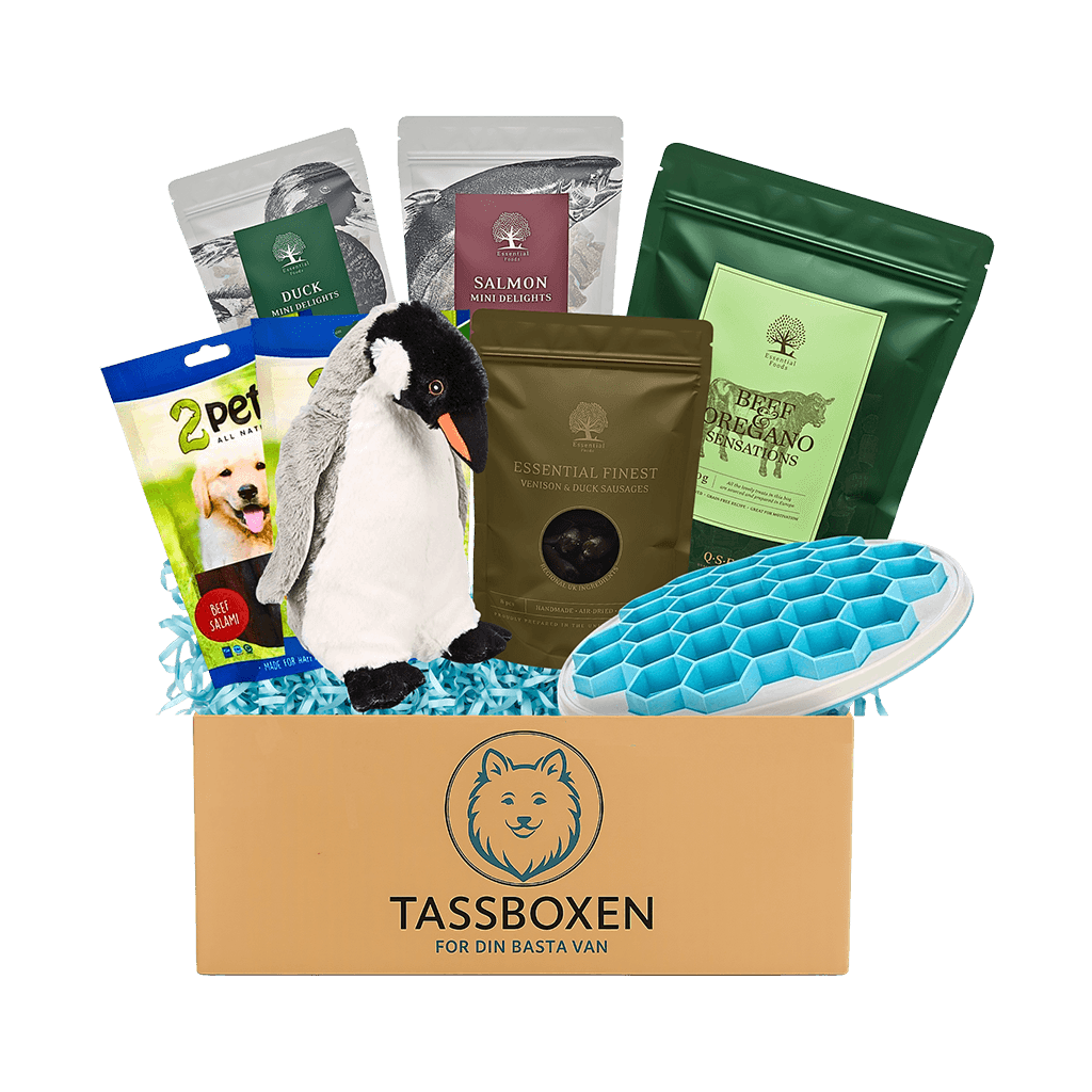 Tassboxen - Månadsbox för hundar