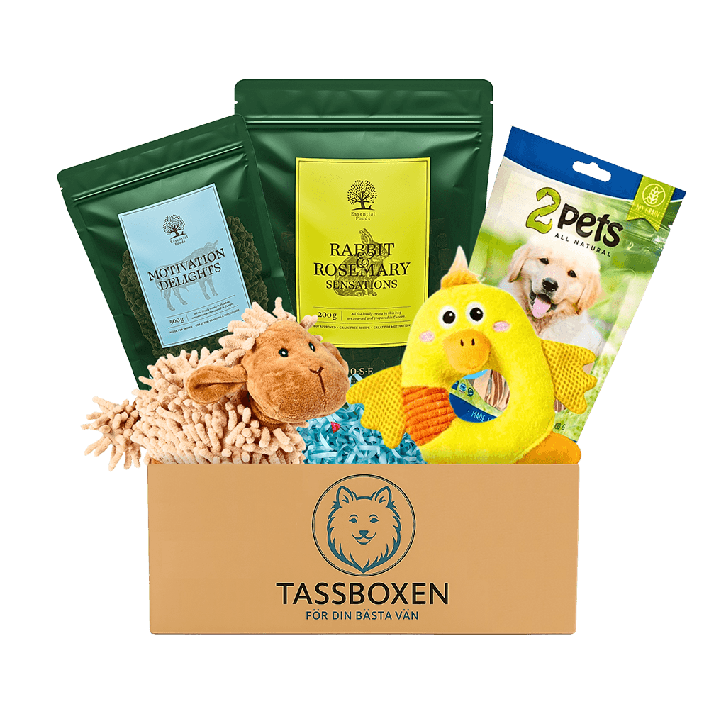 Tassboxen - Hundgodis och leksaker