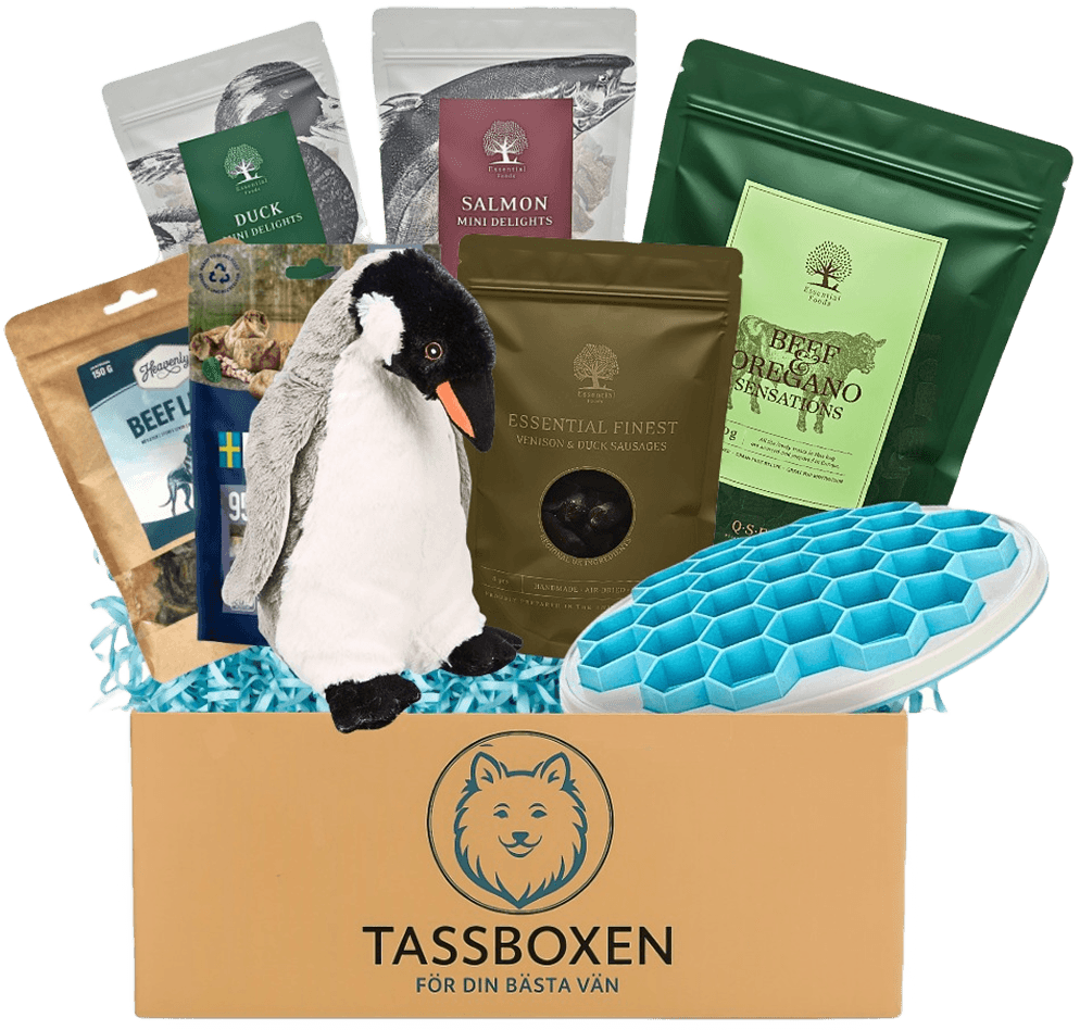Tassboxen - Månadsbox för hundar