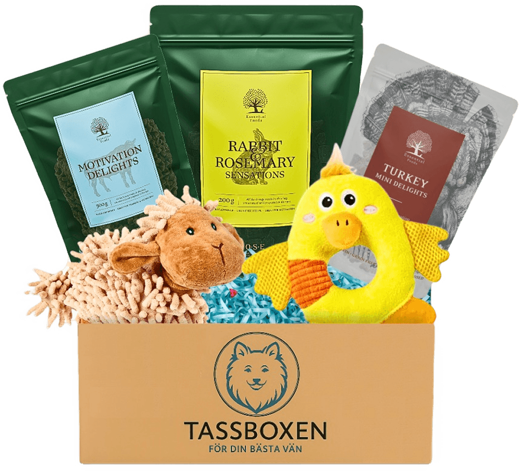 Tassboxen - Hundgodis och leksaker