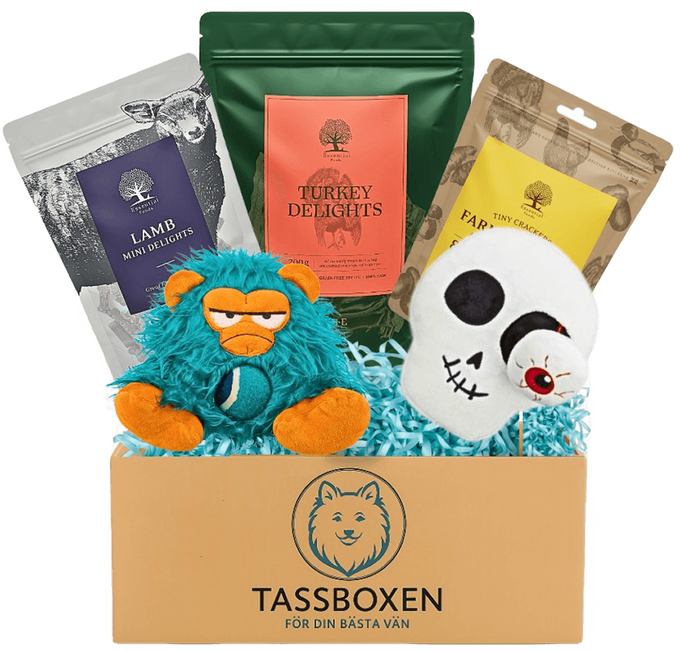 Tassboxen - Månadens höjdpunkt för din hund