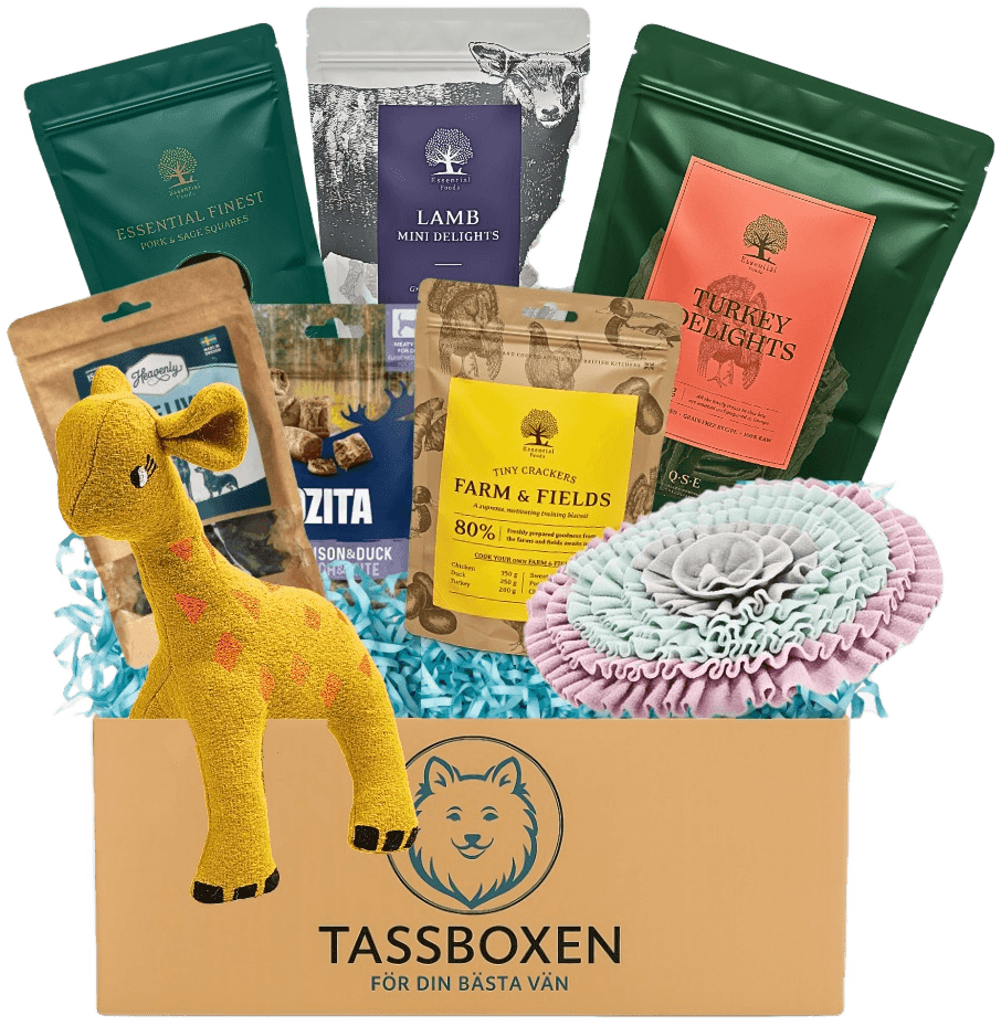 Tassboxen - Skräddarsydd box för din bästa vän