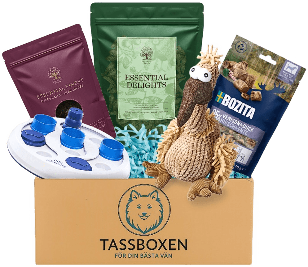 Tassboxen - Din prenumerationsbox för hundar
