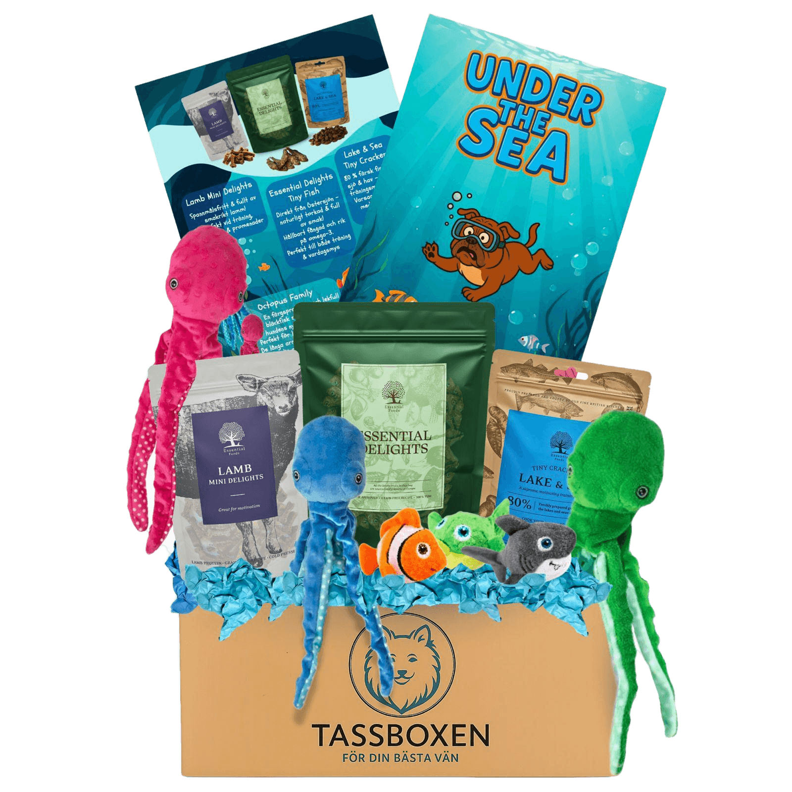 Tassboxen - Månadsbox för hundar