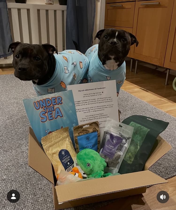 Tassboxen - Månadsbox för hundar