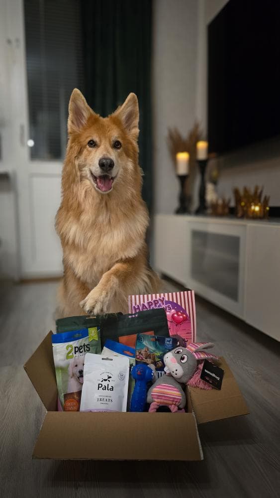 Tassboxen - Månadsbox för hundar