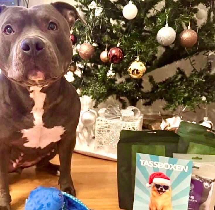 Tassboxen - Månadsbox för hundar