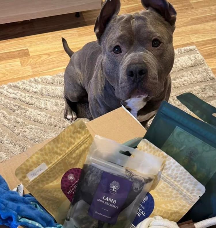 Tassboxen - Månadsbox för hundar