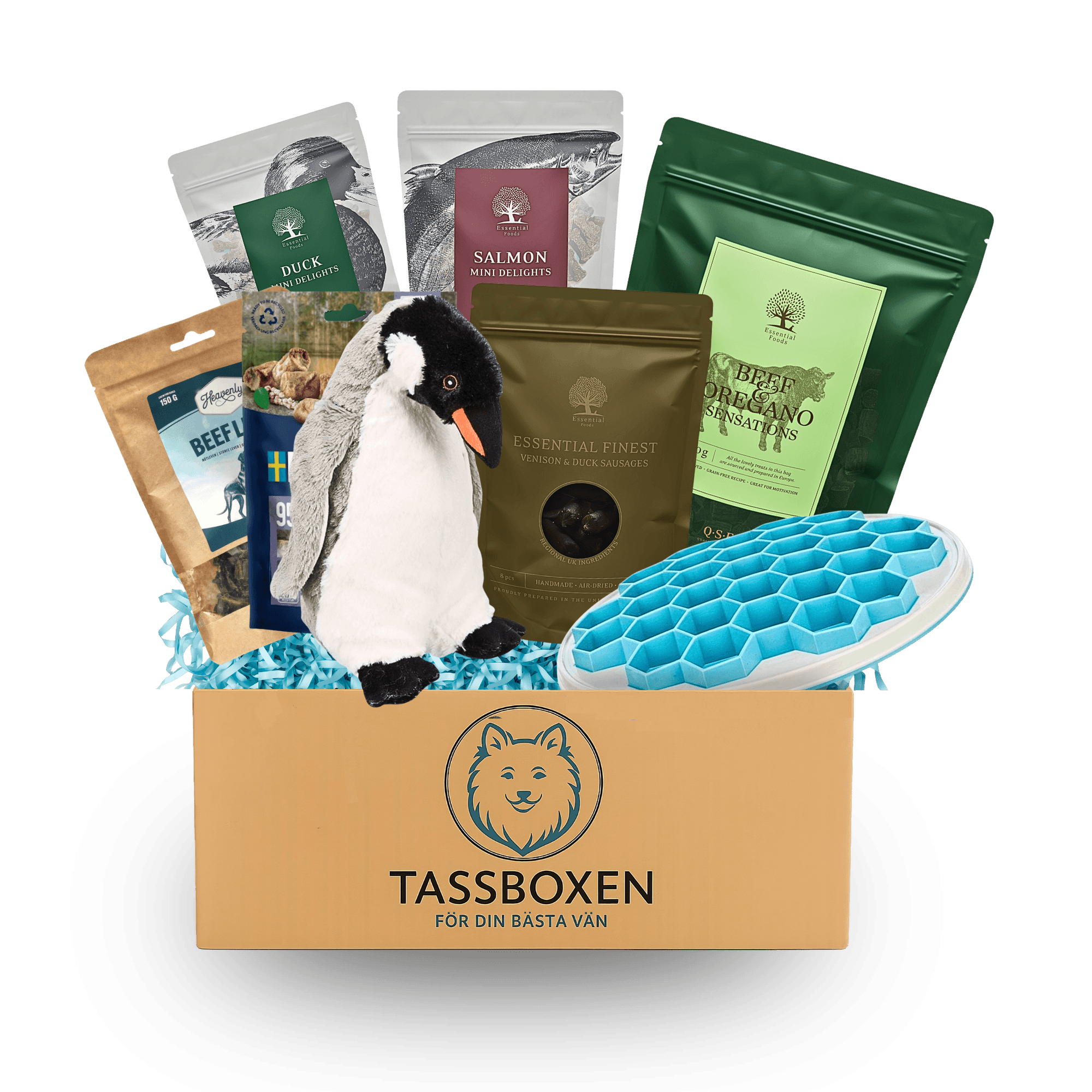 Tassboxen Family