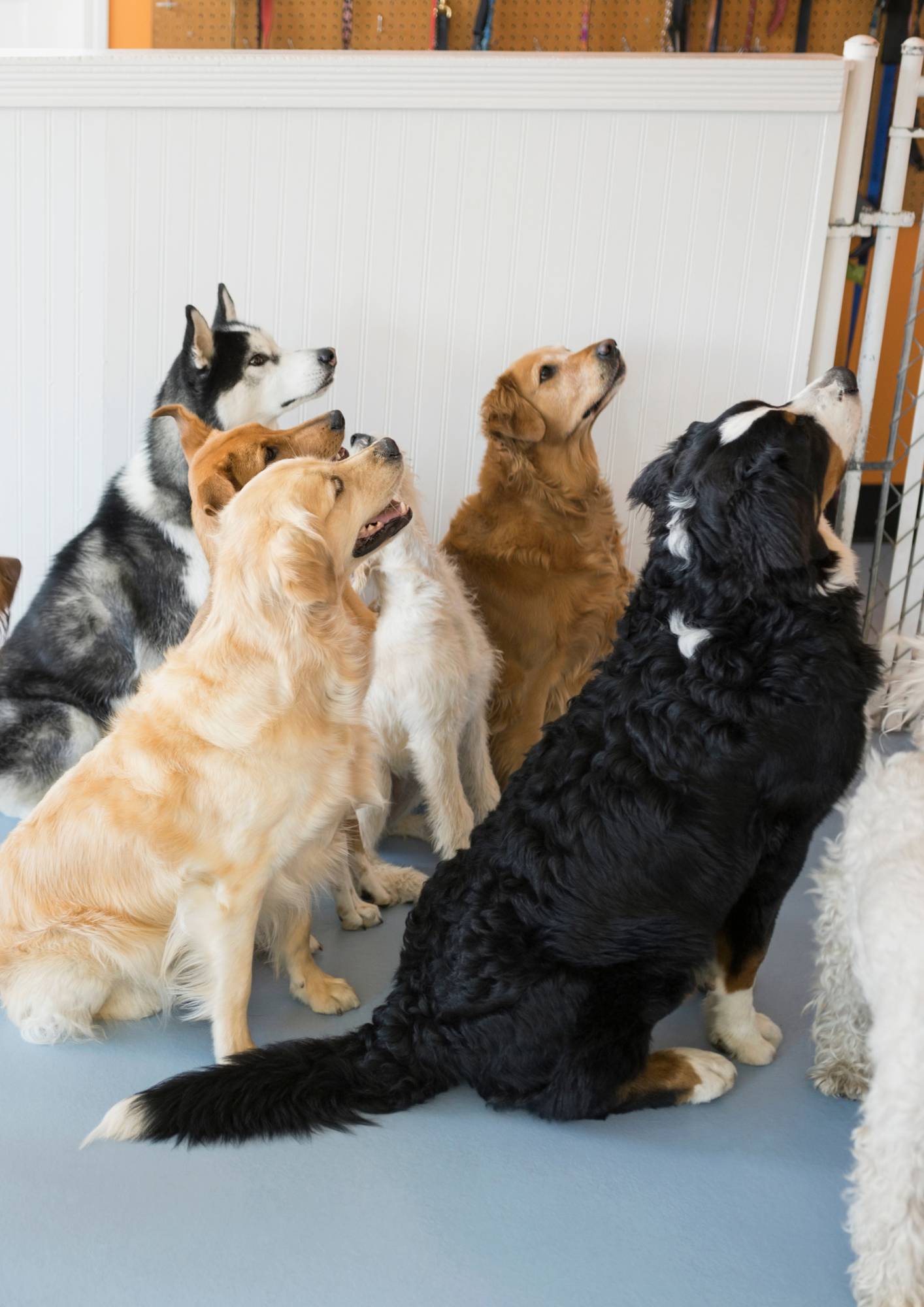 Närmare organisationerna