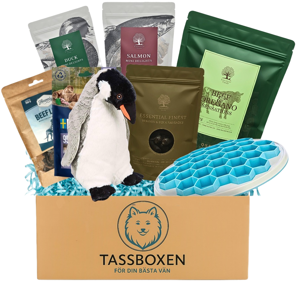 Tassboxen Present