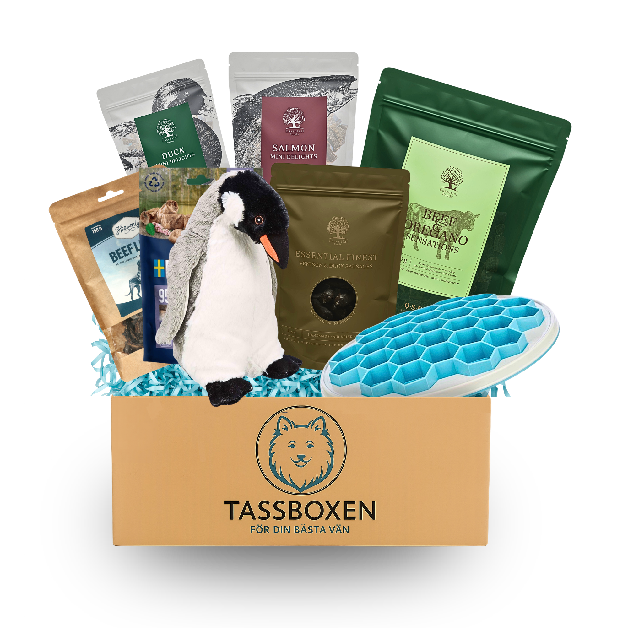 Tassboxen Family